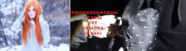 гидропоника Усинск