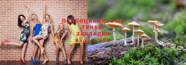 ALPHA PVP Усмань
