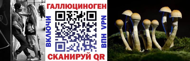 Галлюциногенные грибы мухоморы  blacksprut ССЫЛКА  Рыбинск  закладка 